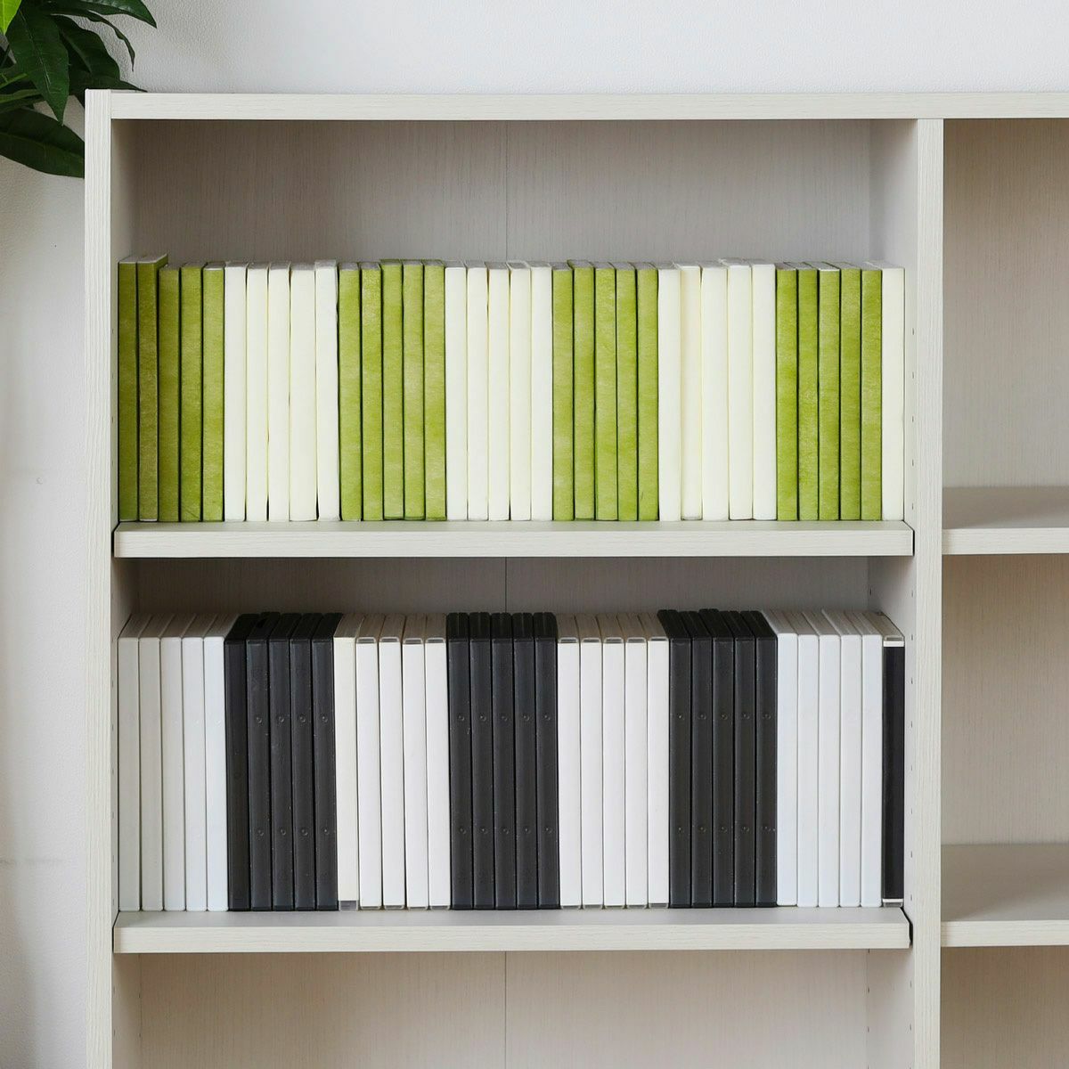 [大容量の多目的棚]棚1段にDVDは約36本、コミックは約36冊を収納できます。