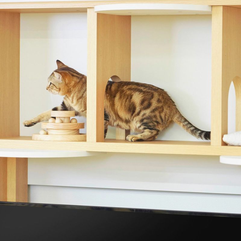 [くぐって楽しいトンネル]上部の中仕切りは猫ちゃんが通れるトンネルになっています。中を通って好きに移動できます。