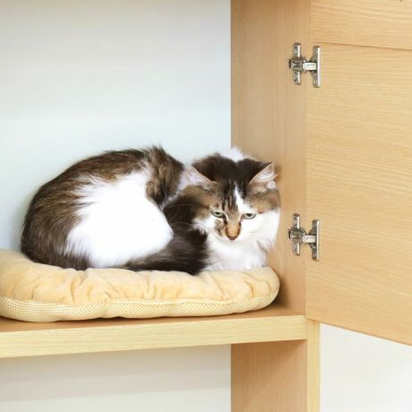 猫ちゃんの隠れ家にも 