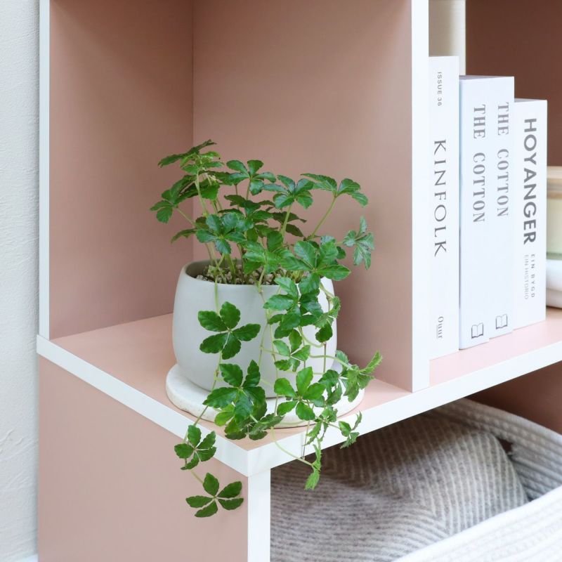 [狭い方の棚は小さな物をディスプレイ]棚板の狭い方の耐荷重は1kg。小さな雑貨をアクセントに置いたり、雑誌を立てかけたり。あえて何も置かずにジグザグの形を見せても〇